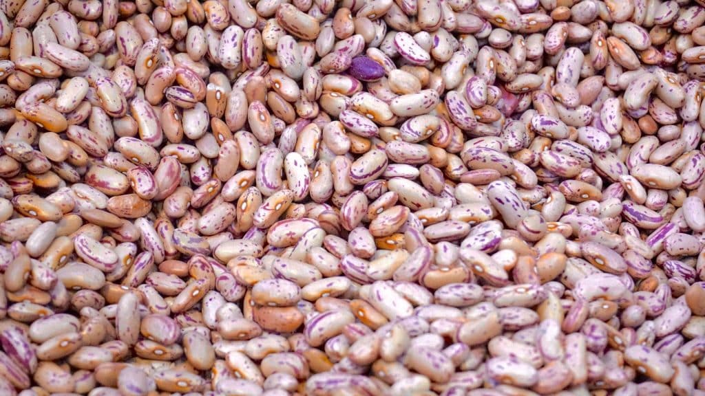 how to use dry beans