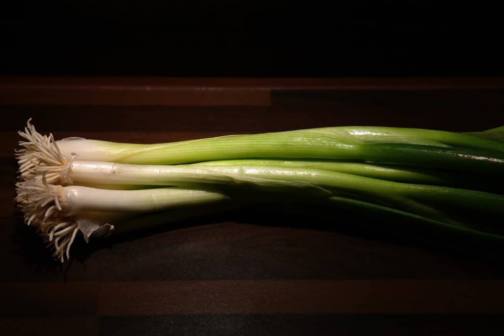 Allium fistulosum - bunching onions