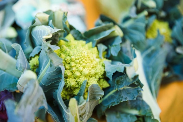 brassicas as companion plants for carrots