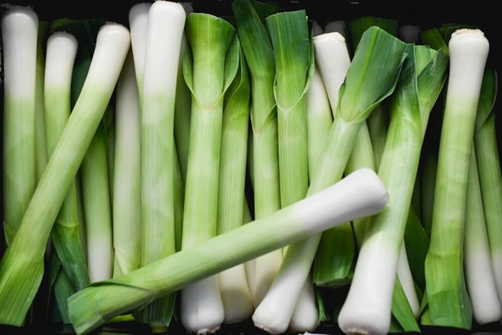 leeks as companion plants for carrots