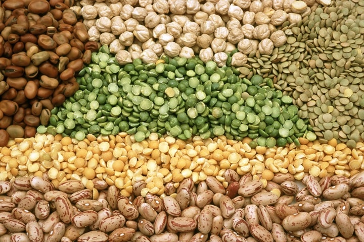 legumes as companion plants for carrots