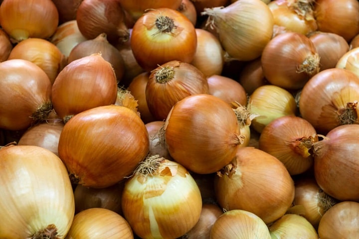companion plants for carrots onions