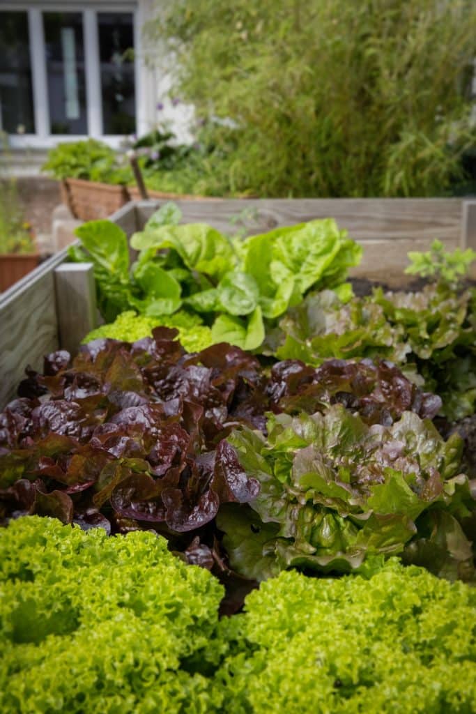 concrete in garden raised bedding