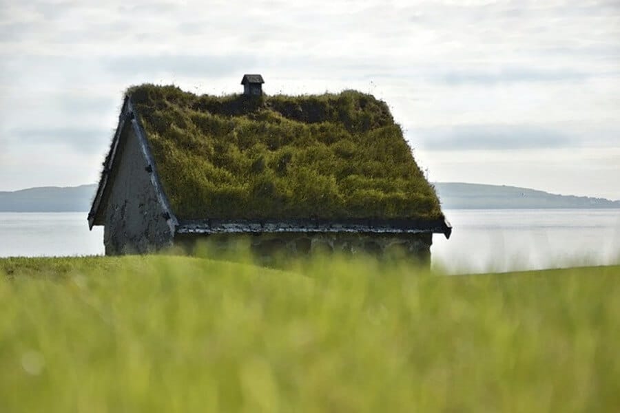 a house with a green roof growing