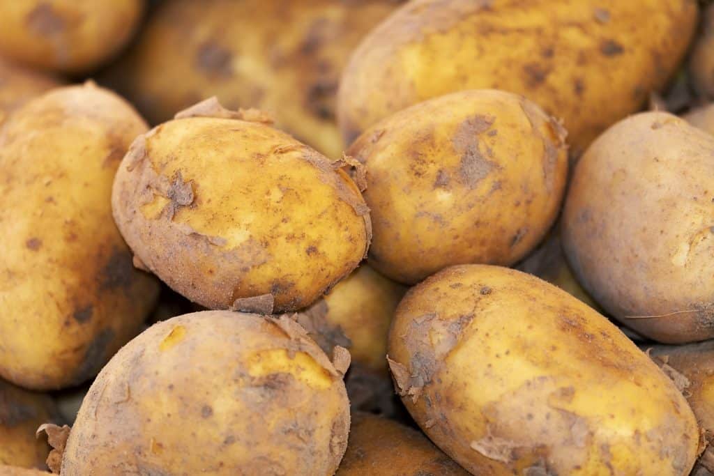 potato ga51aded8f 1920