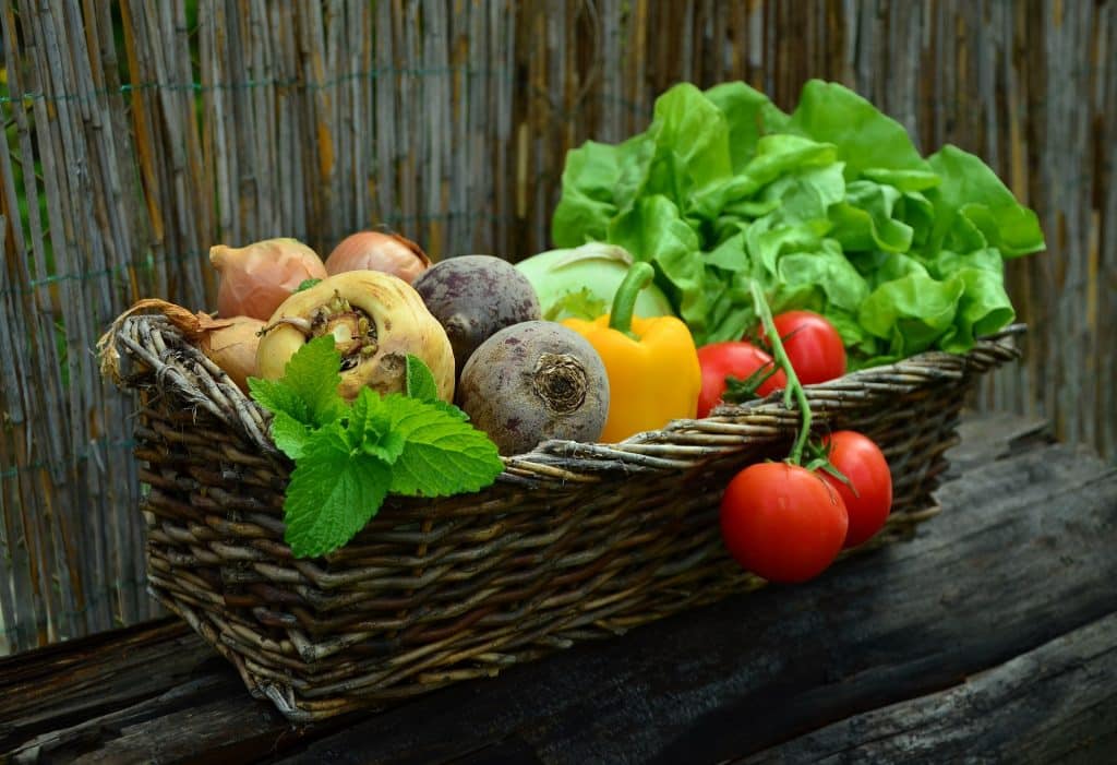 the results of a gardeners new years resolutions to be more sustainable