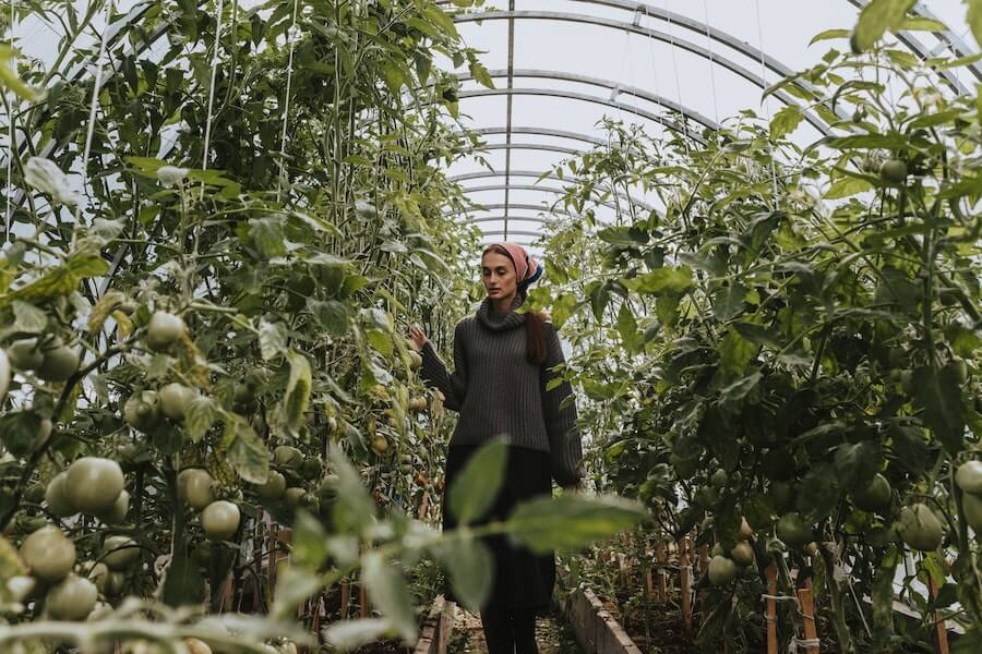 woman in polytunnel garden