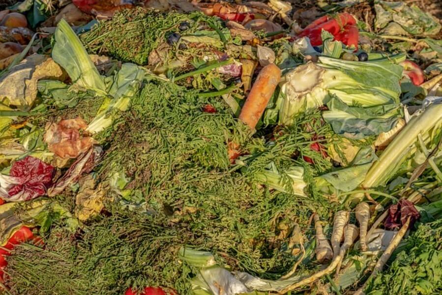 garden waste on a compost heap