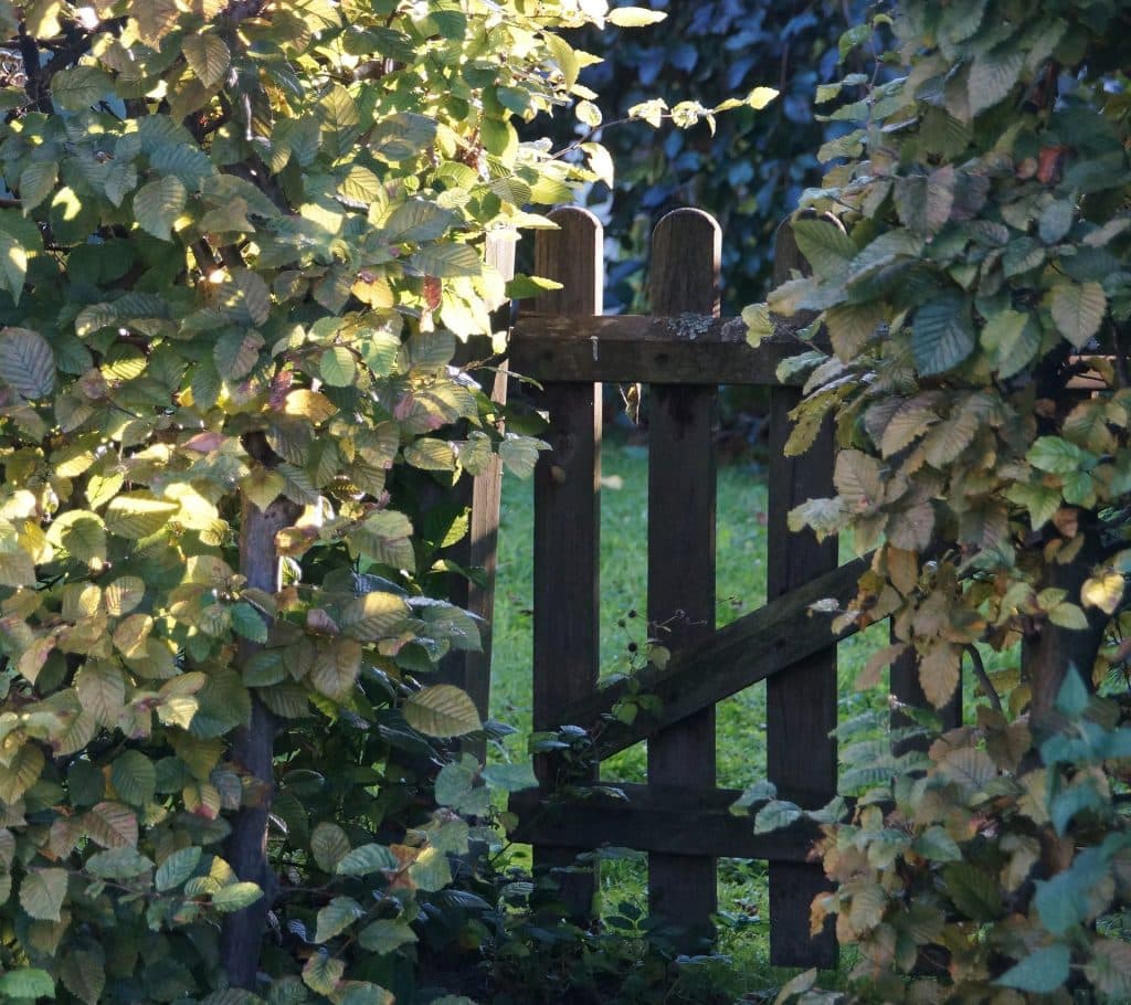 garden gate gef2f62b23 1920