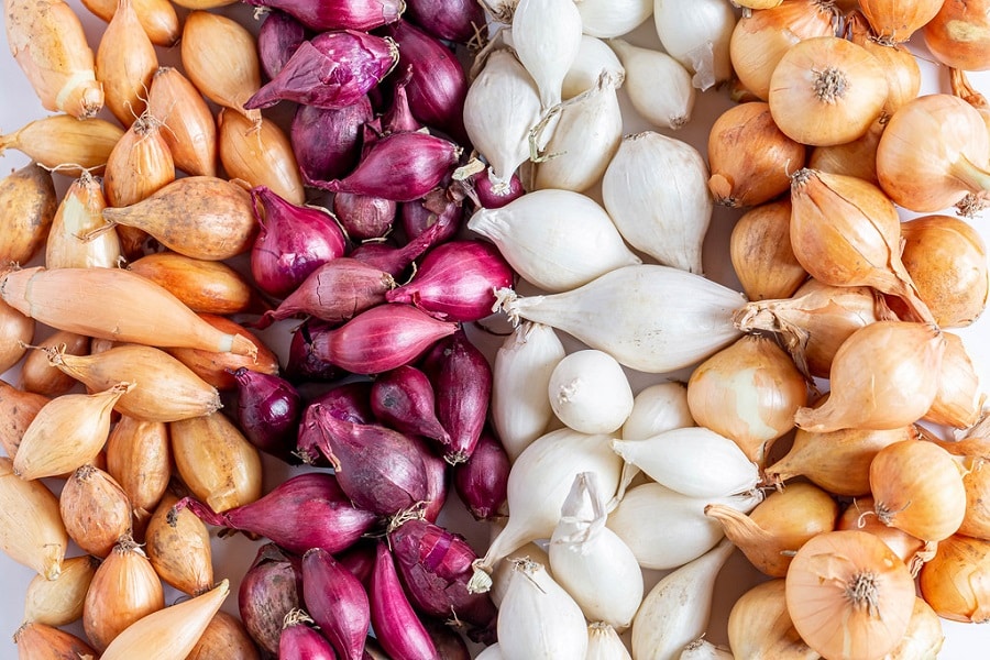 how do i get my onions to grow bigger mixed batch