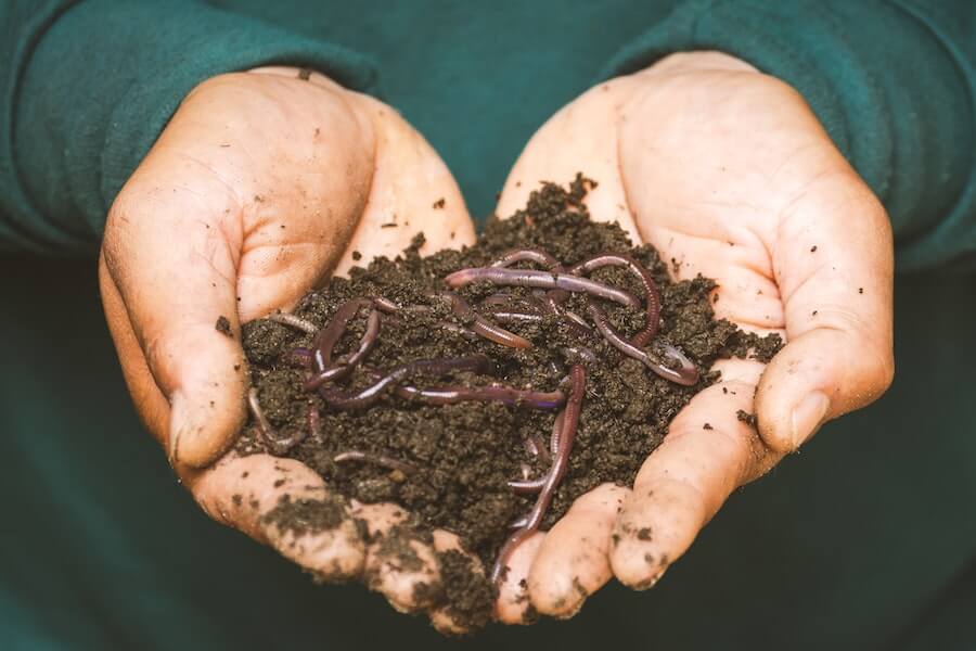 natural compost