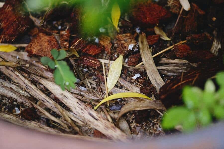 wood shavings to reuse as compost