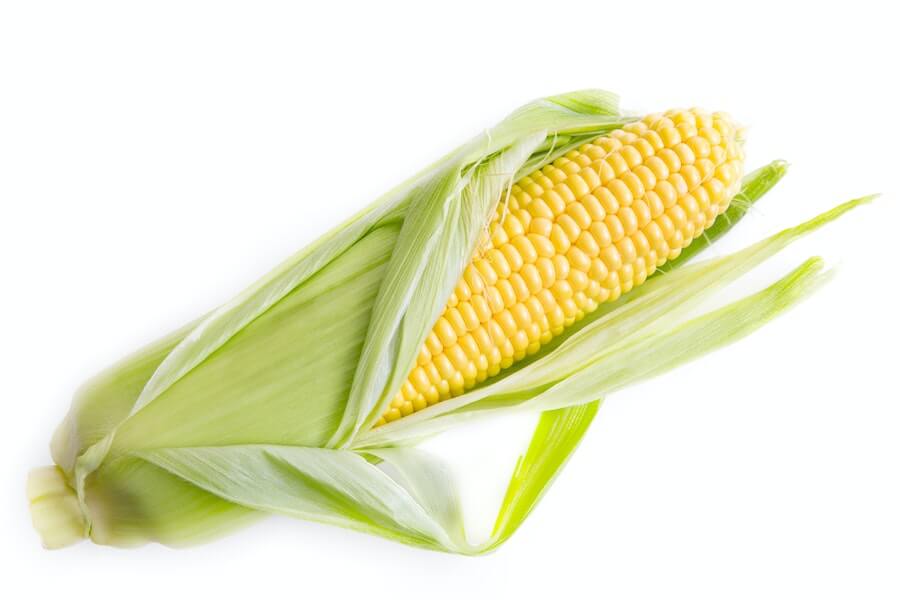 sweet corn with husks