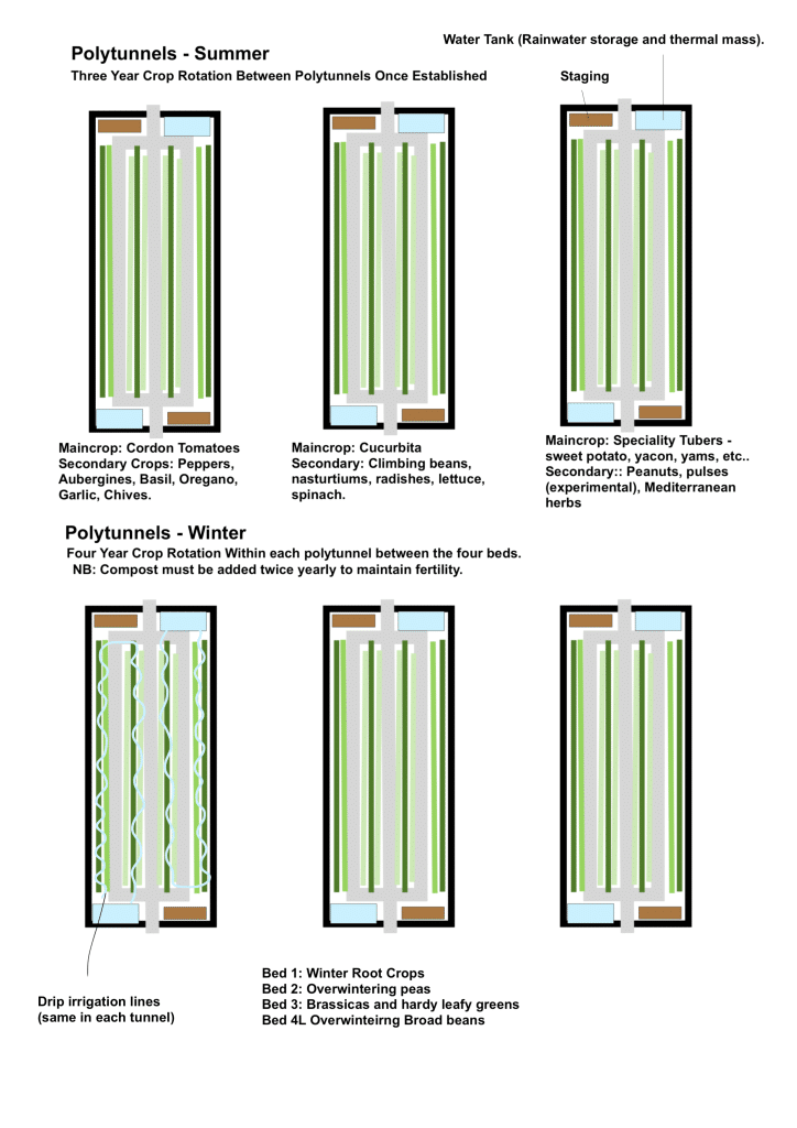 polytunnel layout ideas