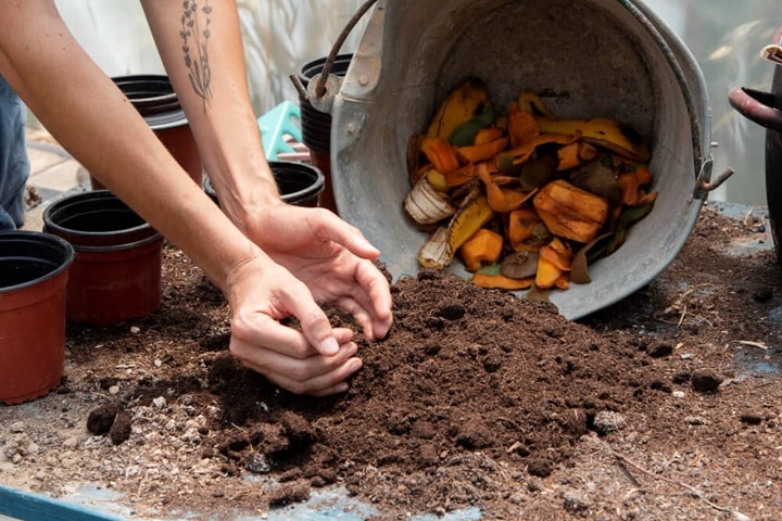 start a compost heap in a garden habitat