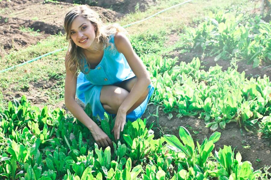 a gardener showing how to grow rocket in an outdoor garden