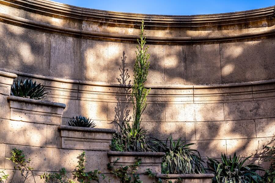 plants used in community garden ideas