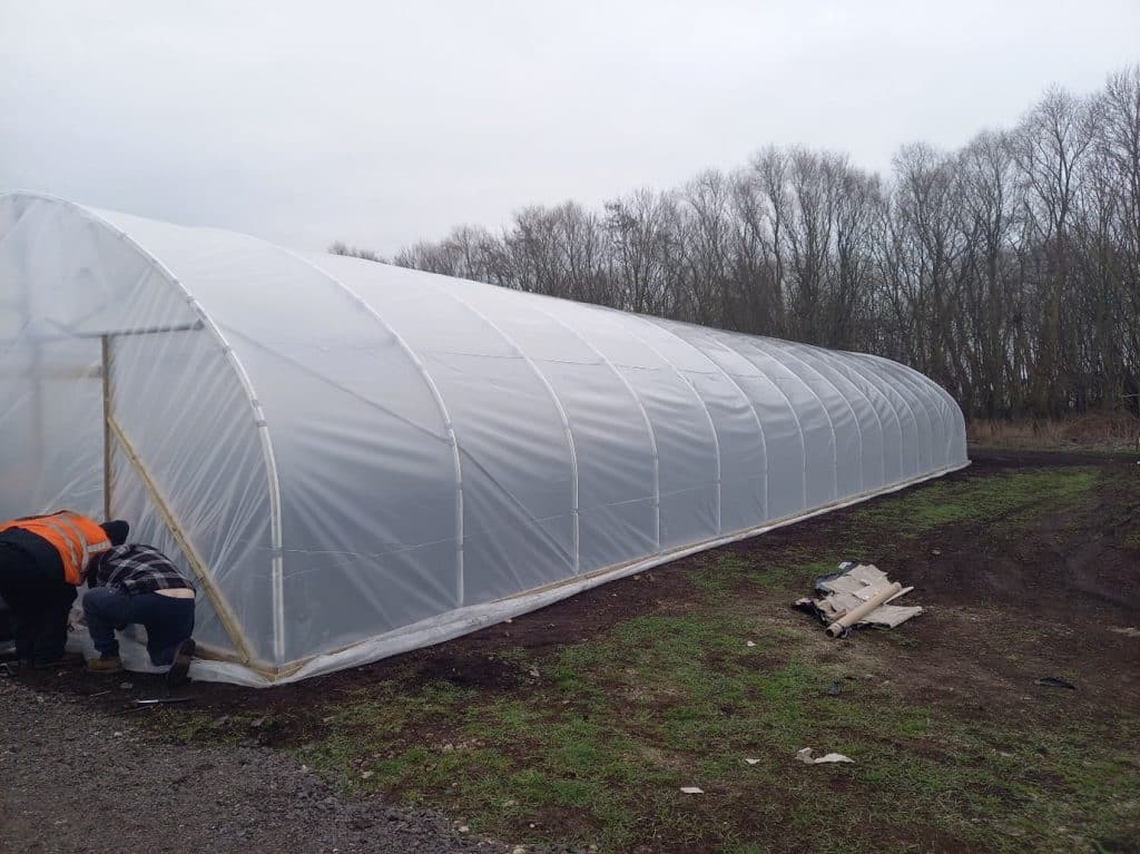 constructed polytunnel