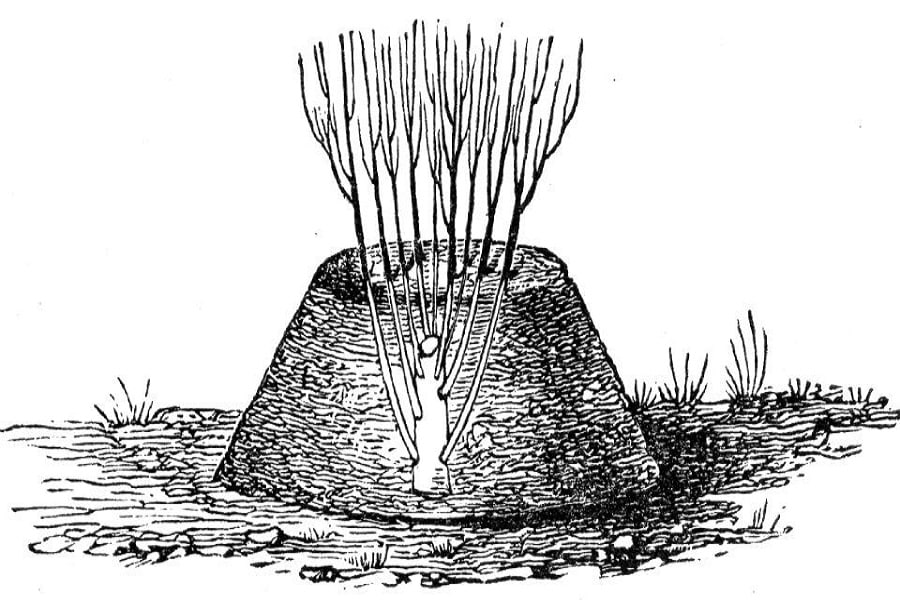 illustration of how to mound layer herbs