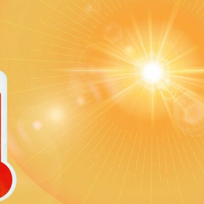 how to protect plants from summer heat