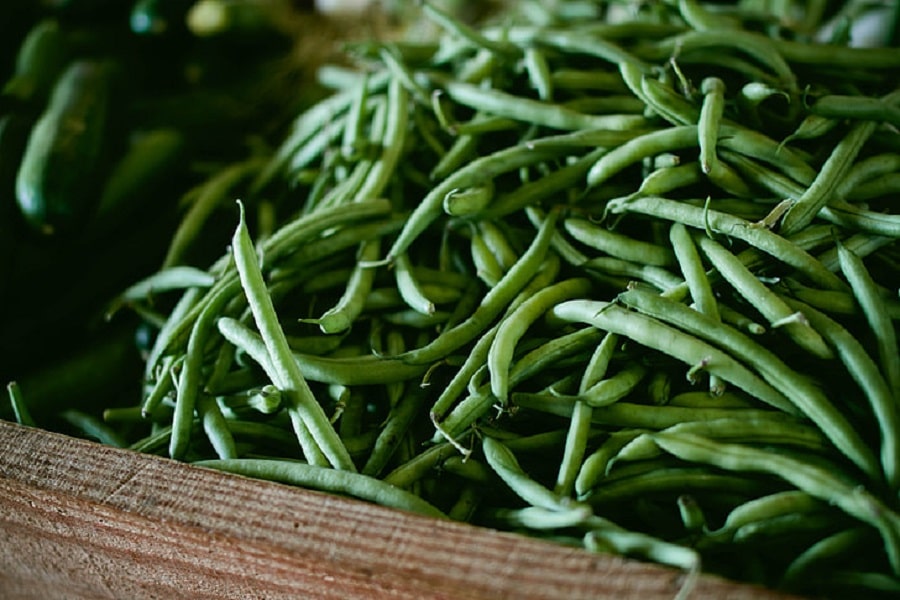 how to grow runner beans quality and quantity guarenteed