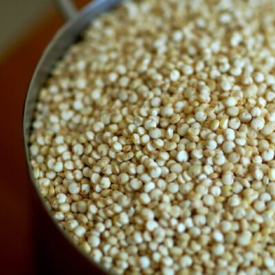 how to grow quinoa plant uk