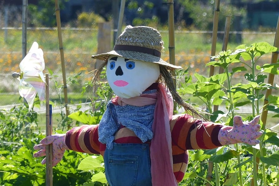 build a scarecrow for after-school gardening activities
