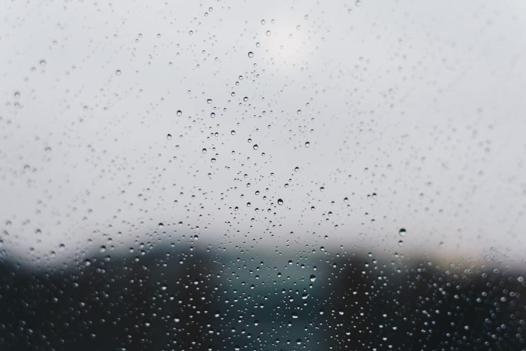 wet weather gardening