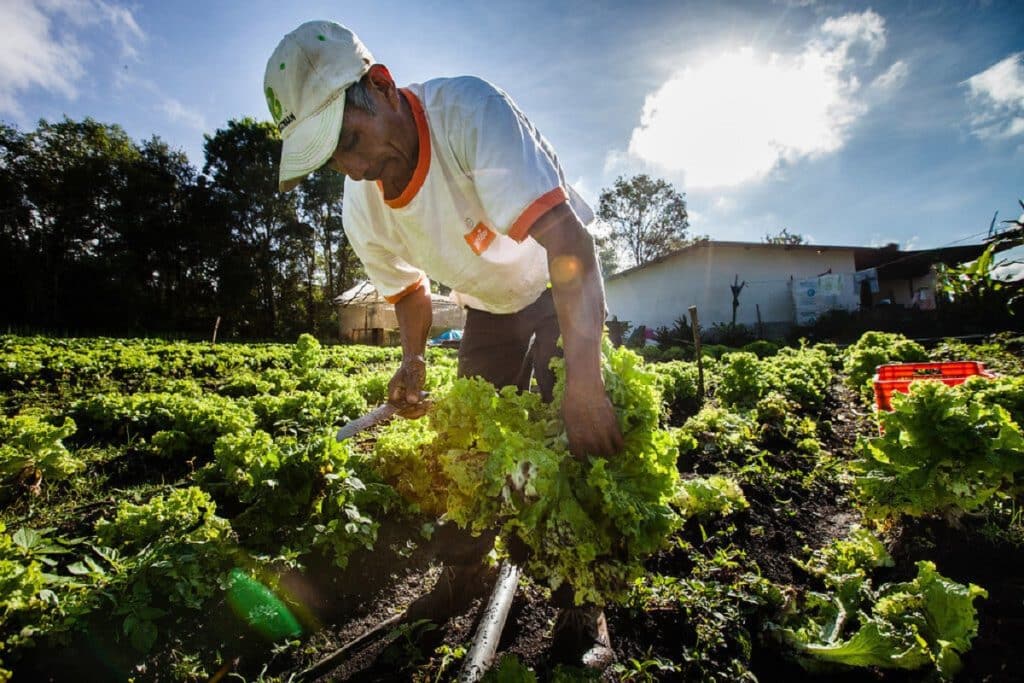 diversify farm income streams