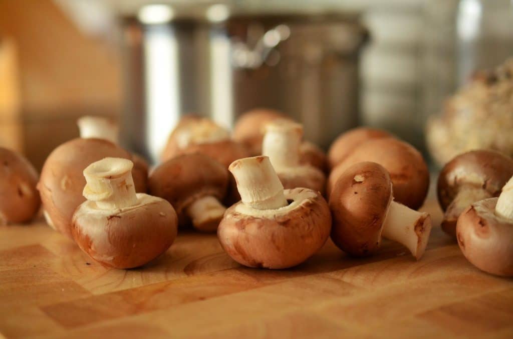 mushrooms as foods that dogs cant eat
