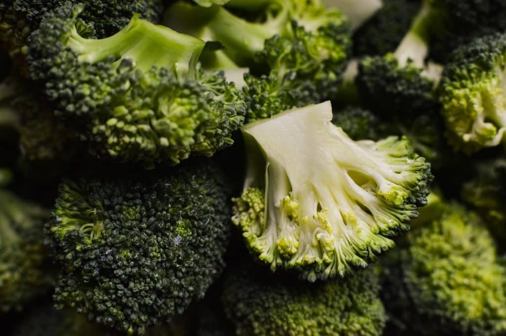 broccoli as foods that dogs cant eat