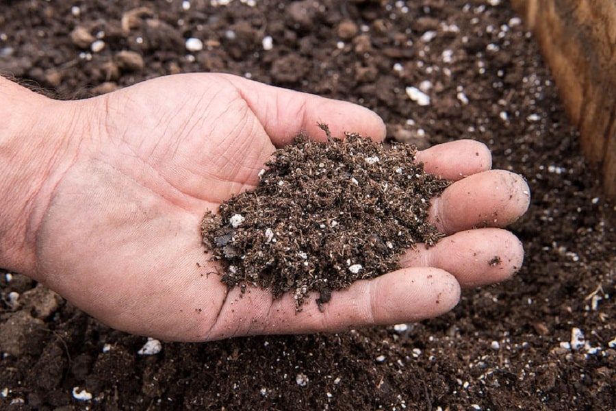 improving soil for new build garden designs