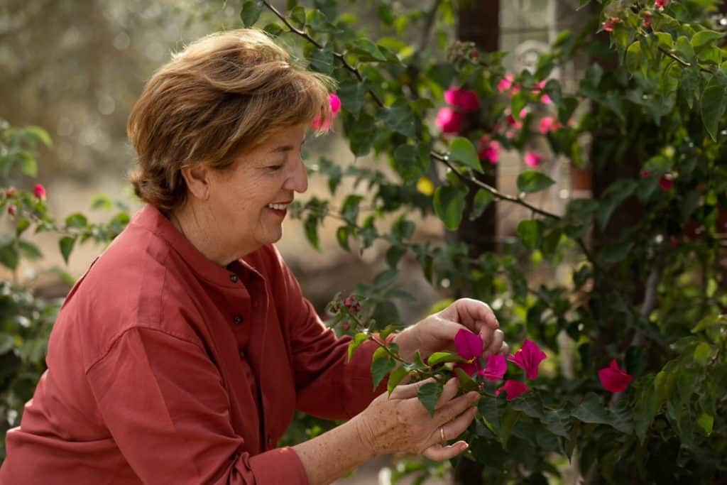 make a mature garden