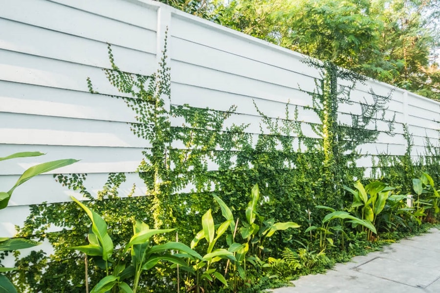 privacy for new build garden designs