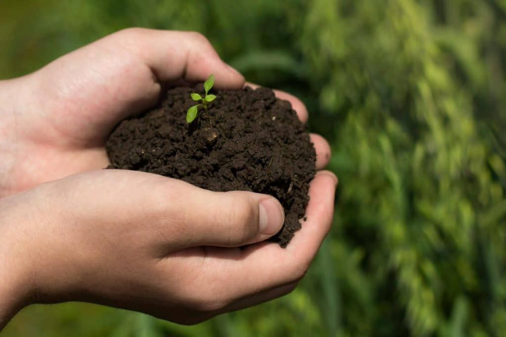 understand garden soil