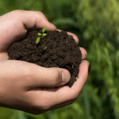 understand garden soil