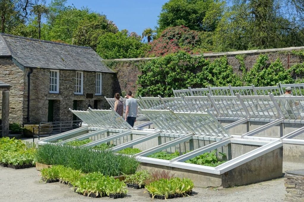 DIY cold frame