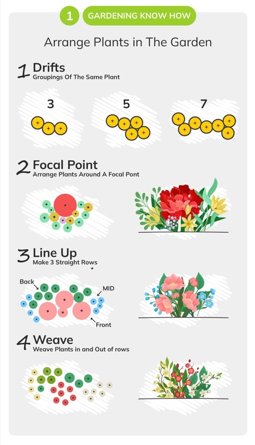 arranging plants for gardening tips for beginners