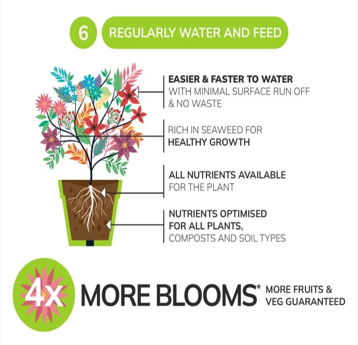 water and feed plants for gardening tips for beginners