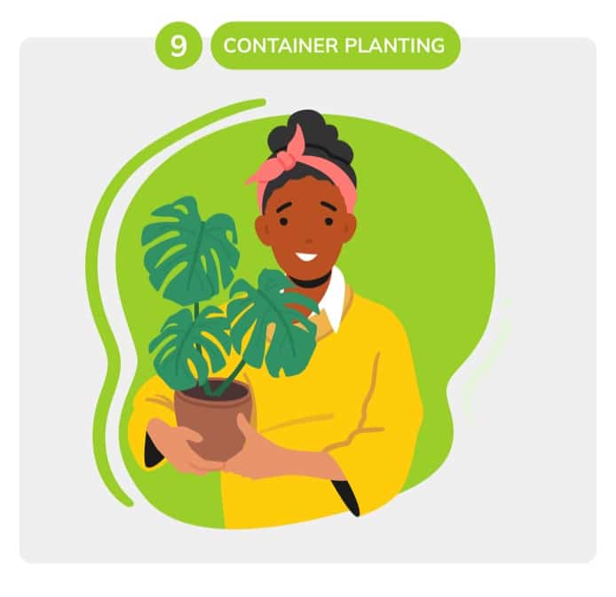 container planting for gardening tips for beginners