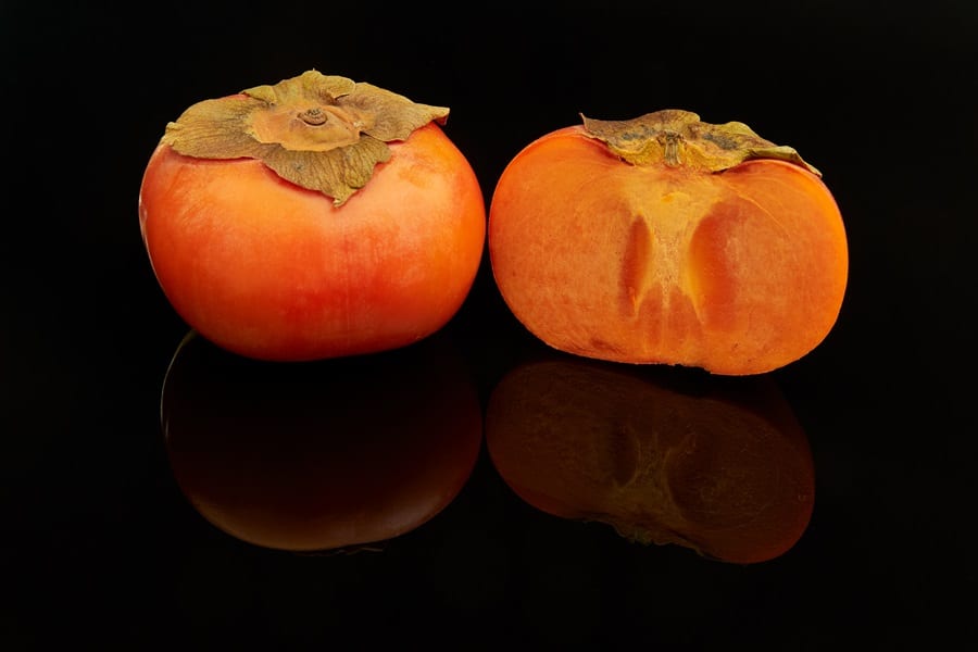 persimmon seeds that dogs cant eat