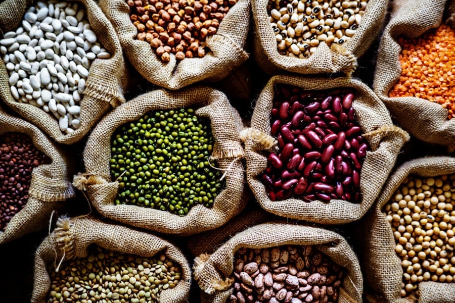 what cant dogs eat pips and seeds