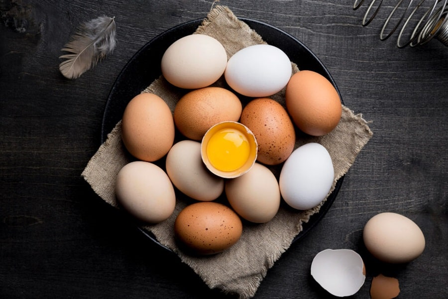 raw meat and eggs that dogs cant eat