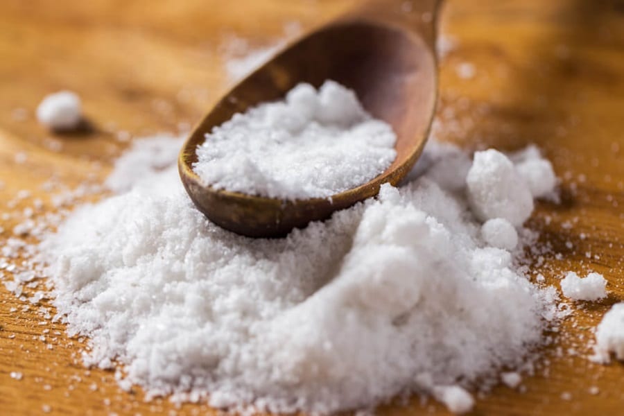 dogs cant eat salt