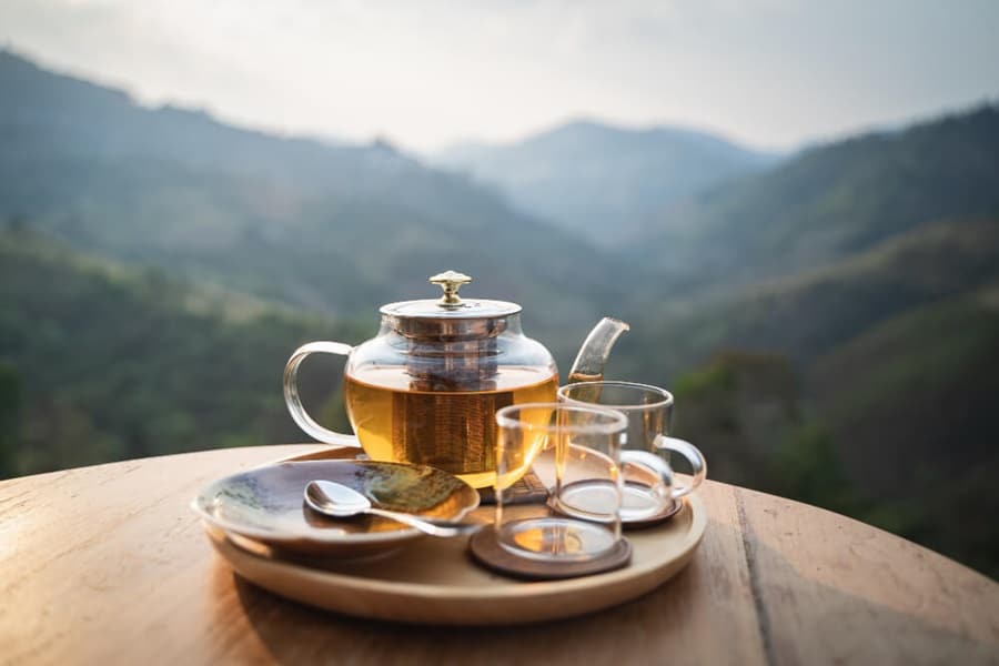 tea that dogs cant drink