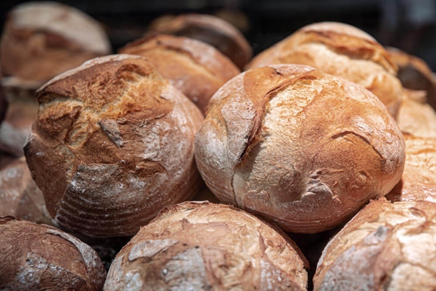 dogs cant eat bread and yeast dough