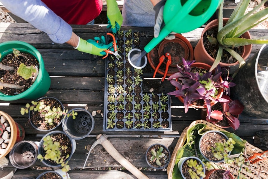 organic gardening organisation