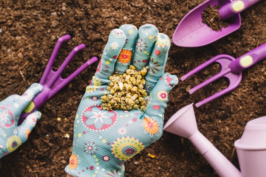 organic gardening soil