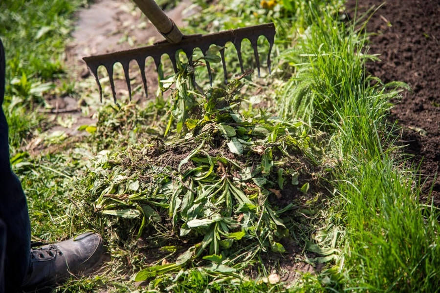 weeding with organic gardening