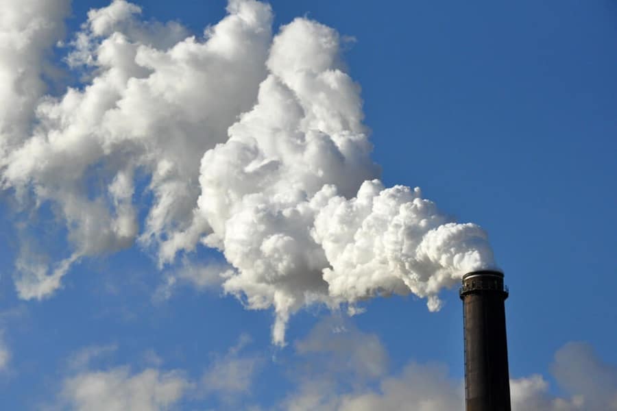 photosynthesis carbon dioxide